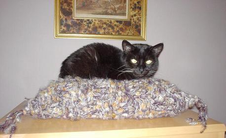 Shelby Cat Bed Knitting Pattern